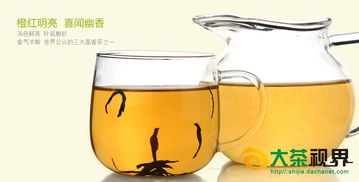 正山小種紅茶批發(fā) 廠(chǎng)價(jià)直供與移動(dòng)互聯(lián)網(wǎng)研發(fā)維護(hù)新視界